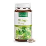 Ginkgo Biloba 75mg 240 db - páfrányfenyő