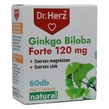 Ginkgo Biloba Forte 120mg + Magnézium 60db kapszula  Dr.Herz
