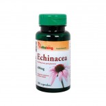 Echinacea - Bibor Kasvirág kapszula Vitaking