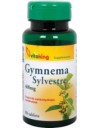 Gymnema Sylvestre 400 mg 90 db (Vitaking)