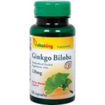 Ginkgo Biloba 120 mg forte 60 db kapszula (páfrányfenyő) 