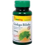 Ginkgo Biloba 120 mg forte 60 db kapszula (páfrányfenyő) 